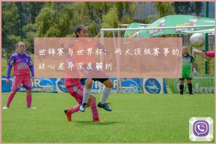 世锦赛与世界杯:两大顶级赛事的核心差异深度解析