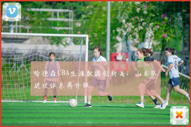 哈德森CBA生涯数据创新高，山东队进攻体系再升级