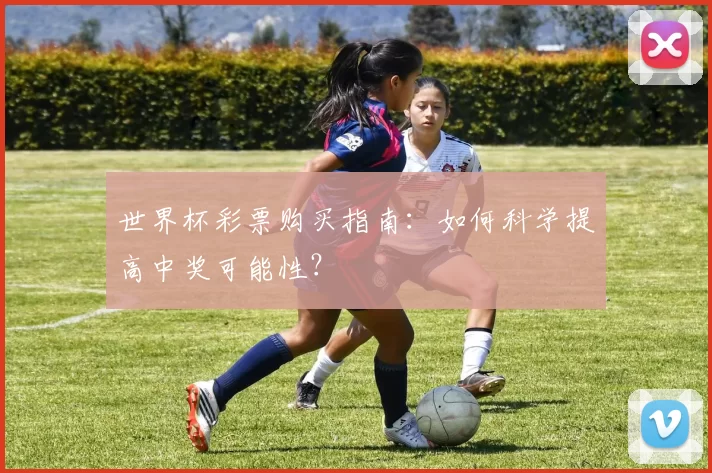 世界杯彩票购买指南:如何科学提高中奖可能性?