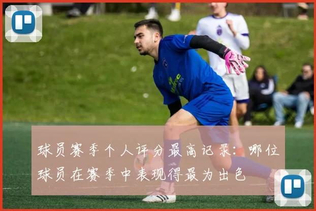 球员赛季个人评分最高记录：哪位球员在赛季中表现得最为出色