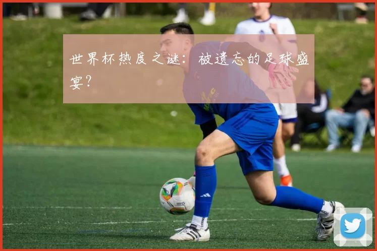 世界杯热度之谜：被遗忘的足球盛宴？