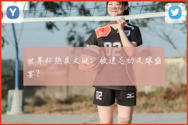 世界杯热度之谜：被遗忘的足球盛宴？