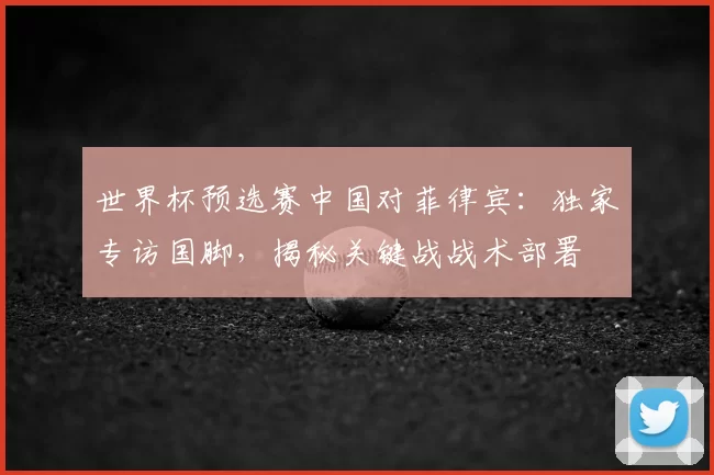 世界杯预选赛中国对菲律宾：独家专访国脚，揭秘关键战战术部署