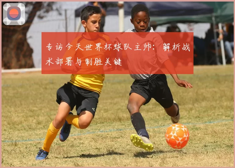 专访今天世界杯球队主帅:解析战术部署与制胜关键