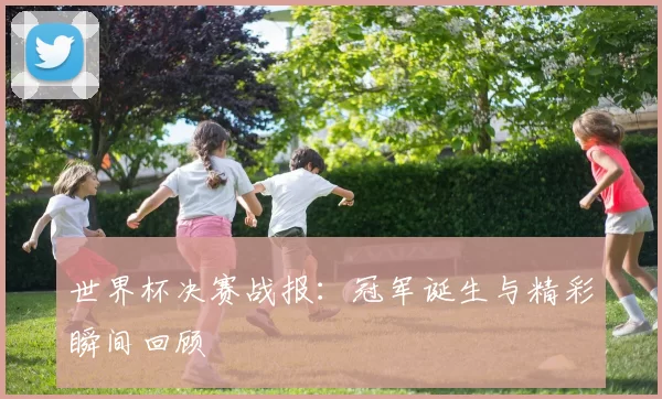 世界杯决赛战报：冠军诞生与精彩瞬间回顾