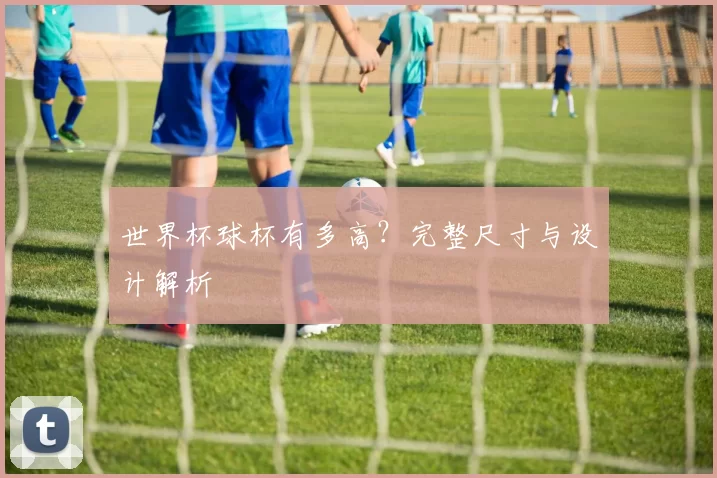 世界杯球杯有多高？完整尺寸与设计解析