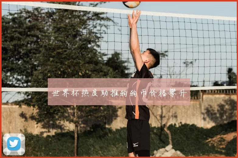 世界杯热度助推狗狗币价格攀升
