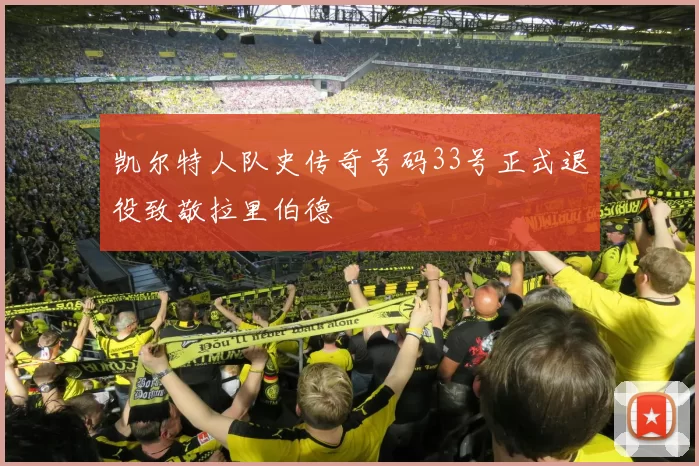 凯尔特人队史传奇号码33号正式退役致敬拉里伯德