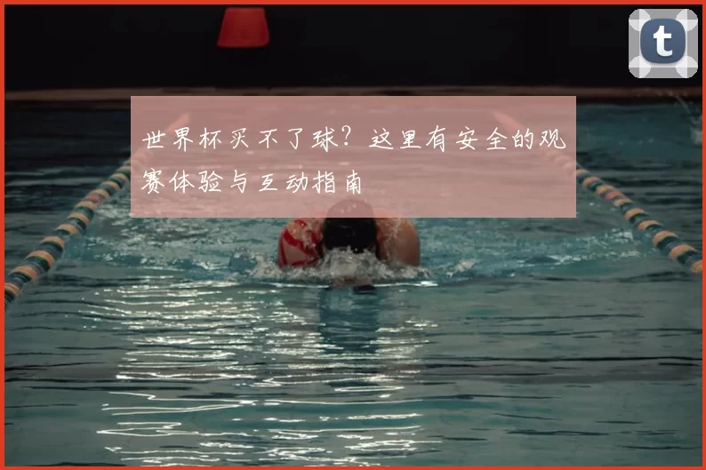 世界杯买不了球?这里有安全的观赛体验与互动指南