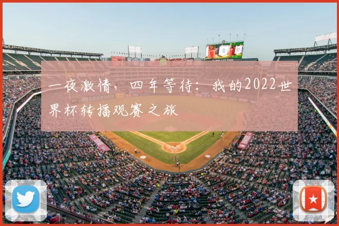 一夜激情，四年等待：我的2022世界杯转播观赛之旅