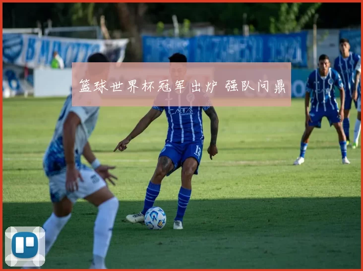 篮球世界杯冠军出炉 强队问鼎